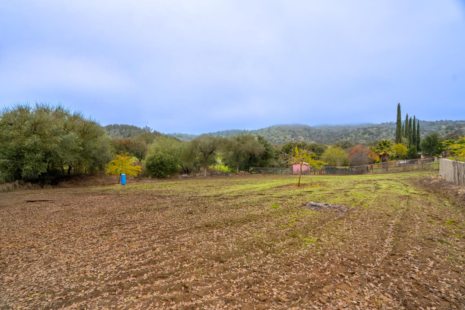 36712 Pebble Lane Squaw Valley, CA 93675 - Photo 13 of 17 a view of an outdoor space