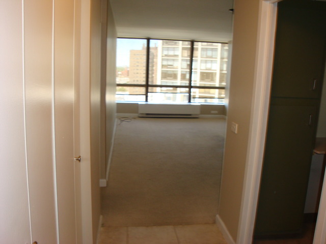5415 North Sheridan Road, Unit 1609 Chicago, IL 60640 - Photo 6 of 11
