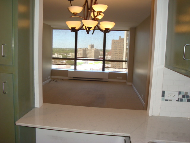 5415 North Sheridan Road, Unit 1609 Chicago, IL 60640 - Photo 9 of 11