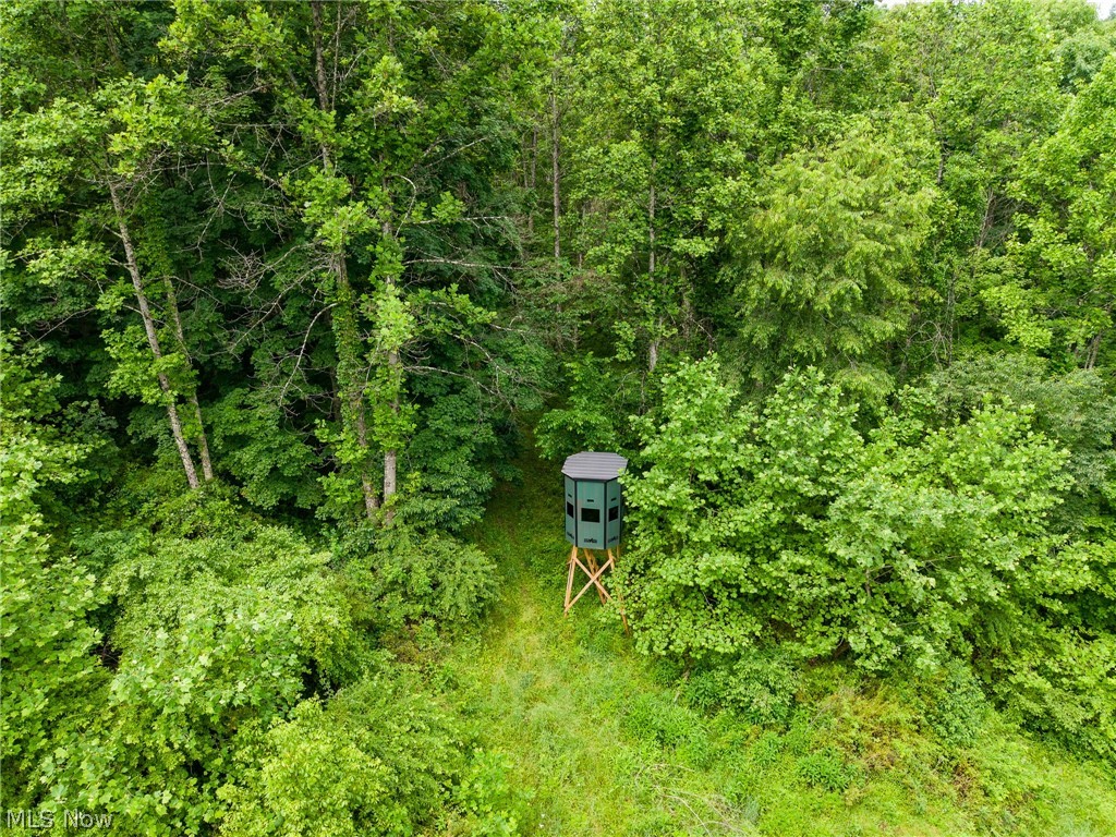 Kinnen Road Caldwell, OH 43724 - Photo 4 of 37