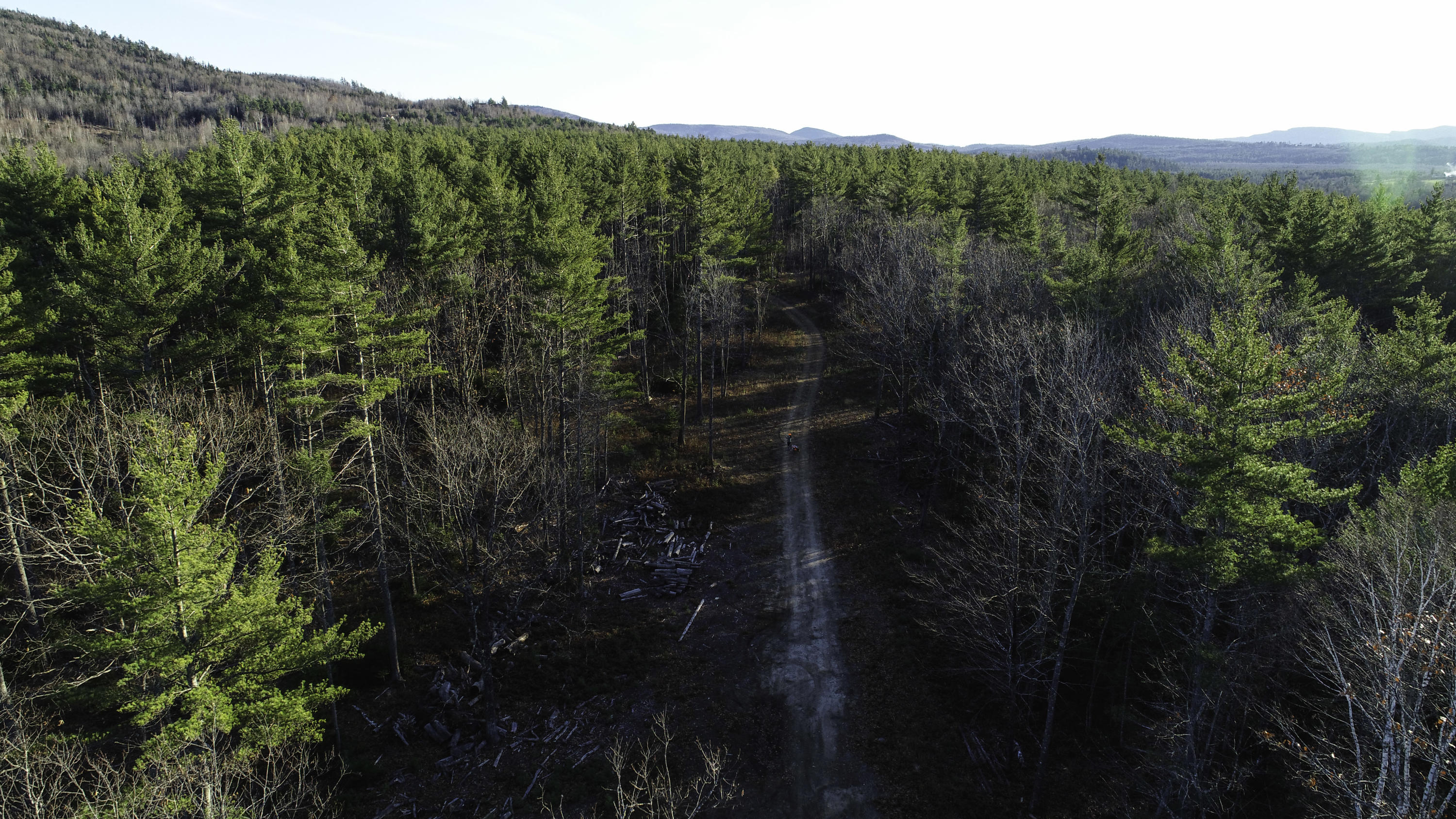116 Chase Road Bethel, ME 04217 - Photo 5 of 47 DJI_0063