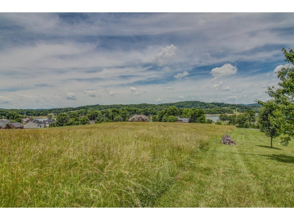 0 Rice Cross Road Piney Flats, TN 37686 - Photo 8 of 12 Photo 8