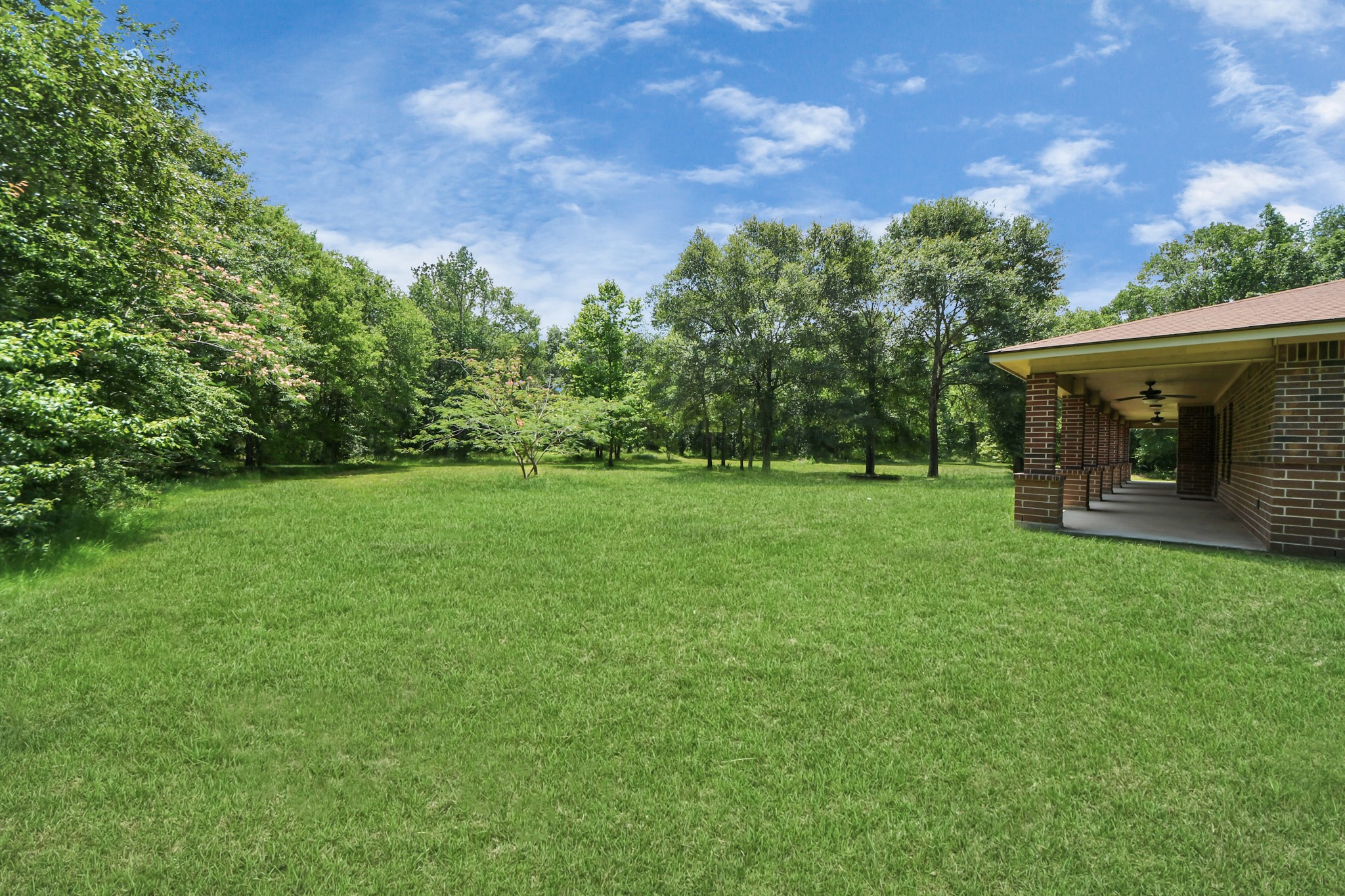 197 County Road 348 Cleveland, TX 77327 - Photo 3 of 48 Front yard