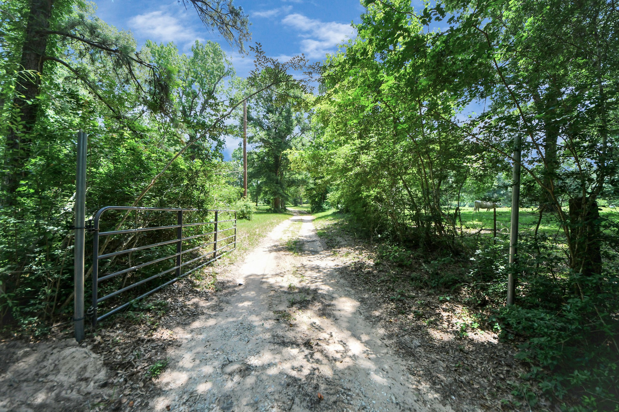 197 County Road 348 Cleveland, TX 77327 - Photo 44 of 48 Private Drive