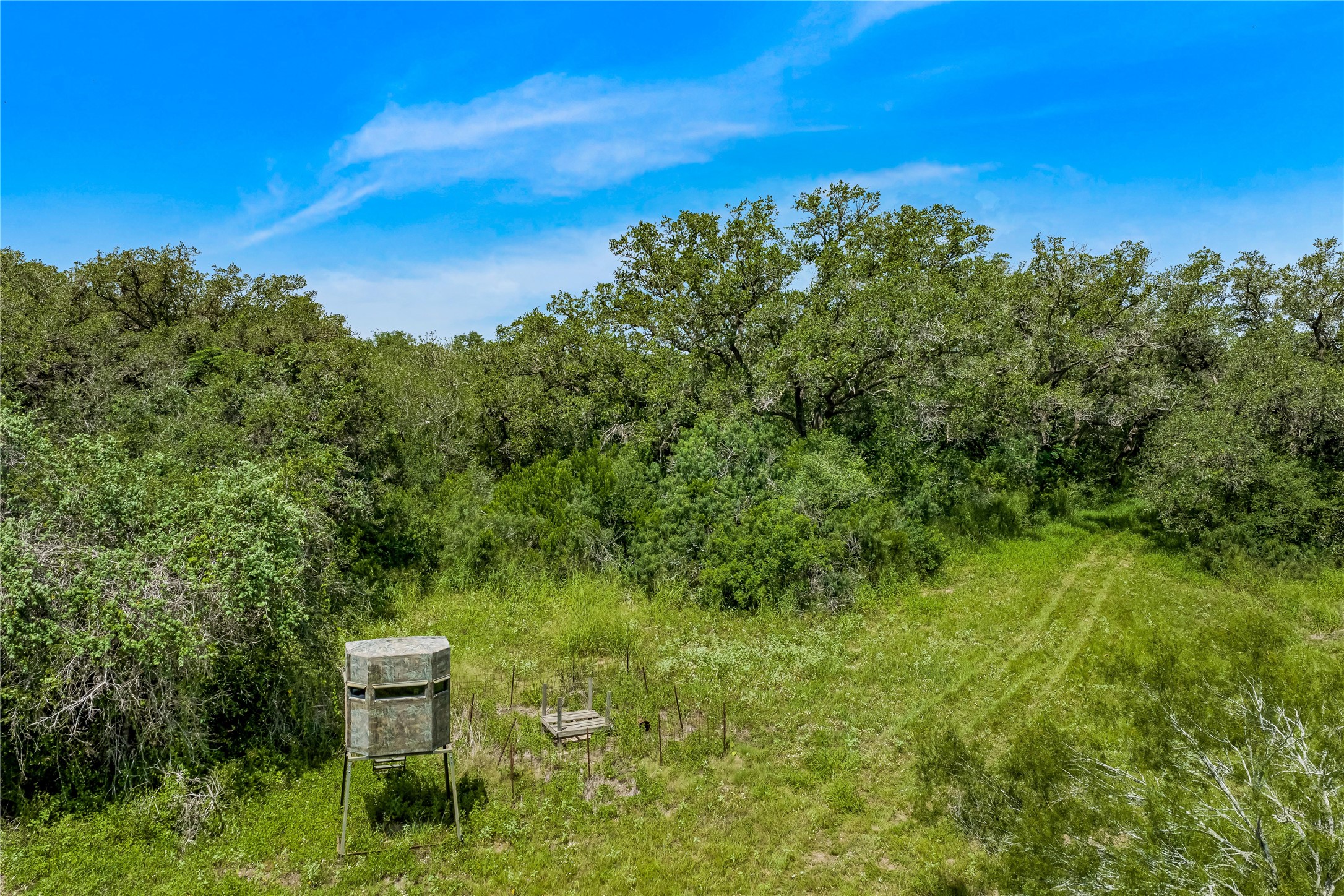 0 McGuill Road Goliad, TX 77963 - Photo 9 of 21 Gallery Image 9