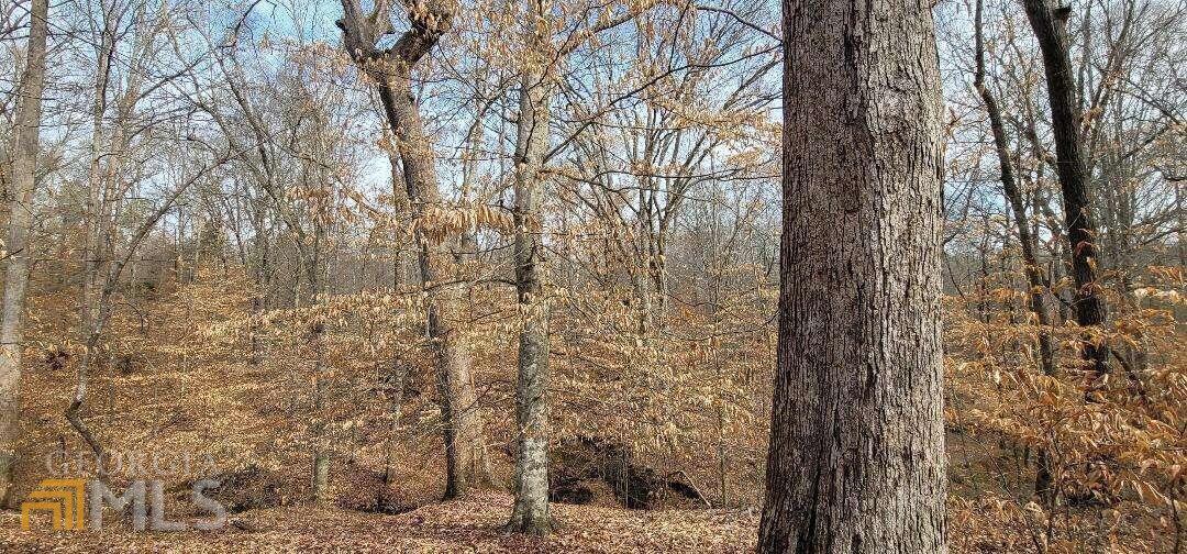 0 Stinchcomb Road Elberton, GA 30635 - Photo 1 of 1 Gallery Image 1