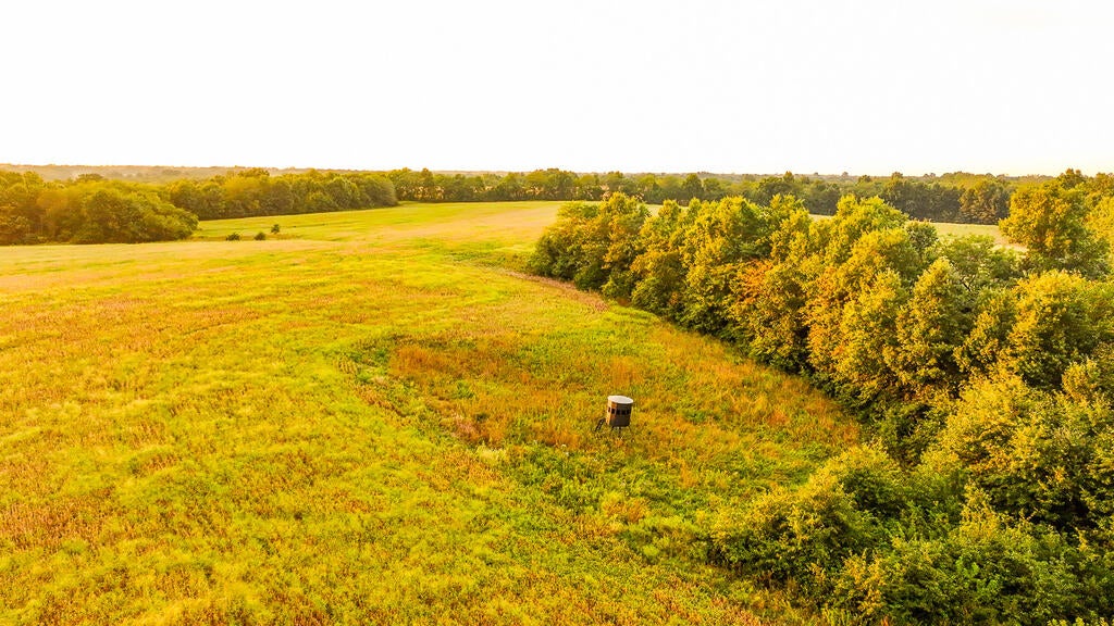 0 Autumn Road Browning, MO 64630 - Photo 10 of 41 Gallery Image 10