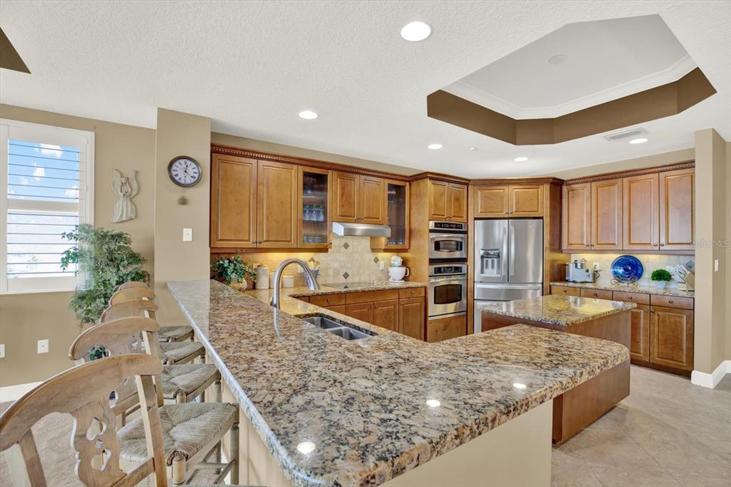 17745 Gulf Boulevard, Unit 604 Redington Shores, FL 33708 - Photo 7 of 44 a kitchen with stainless steel appliances granite countertop a sink and a refrigerator