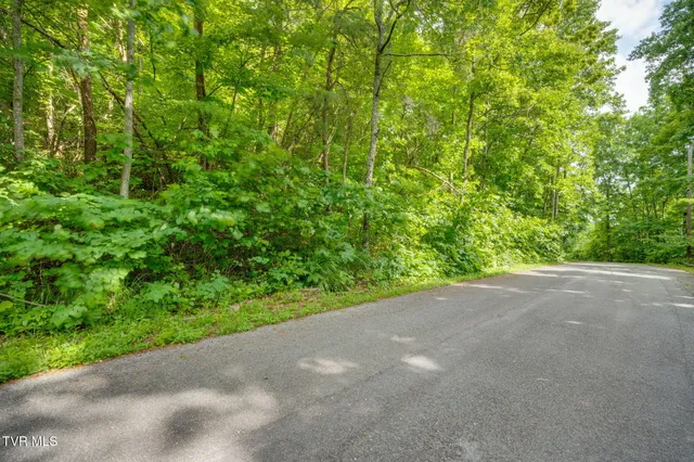 $59,900 | Lot 41 Ridgeheights Drive, Unit 41, Johnson City, TN 37615