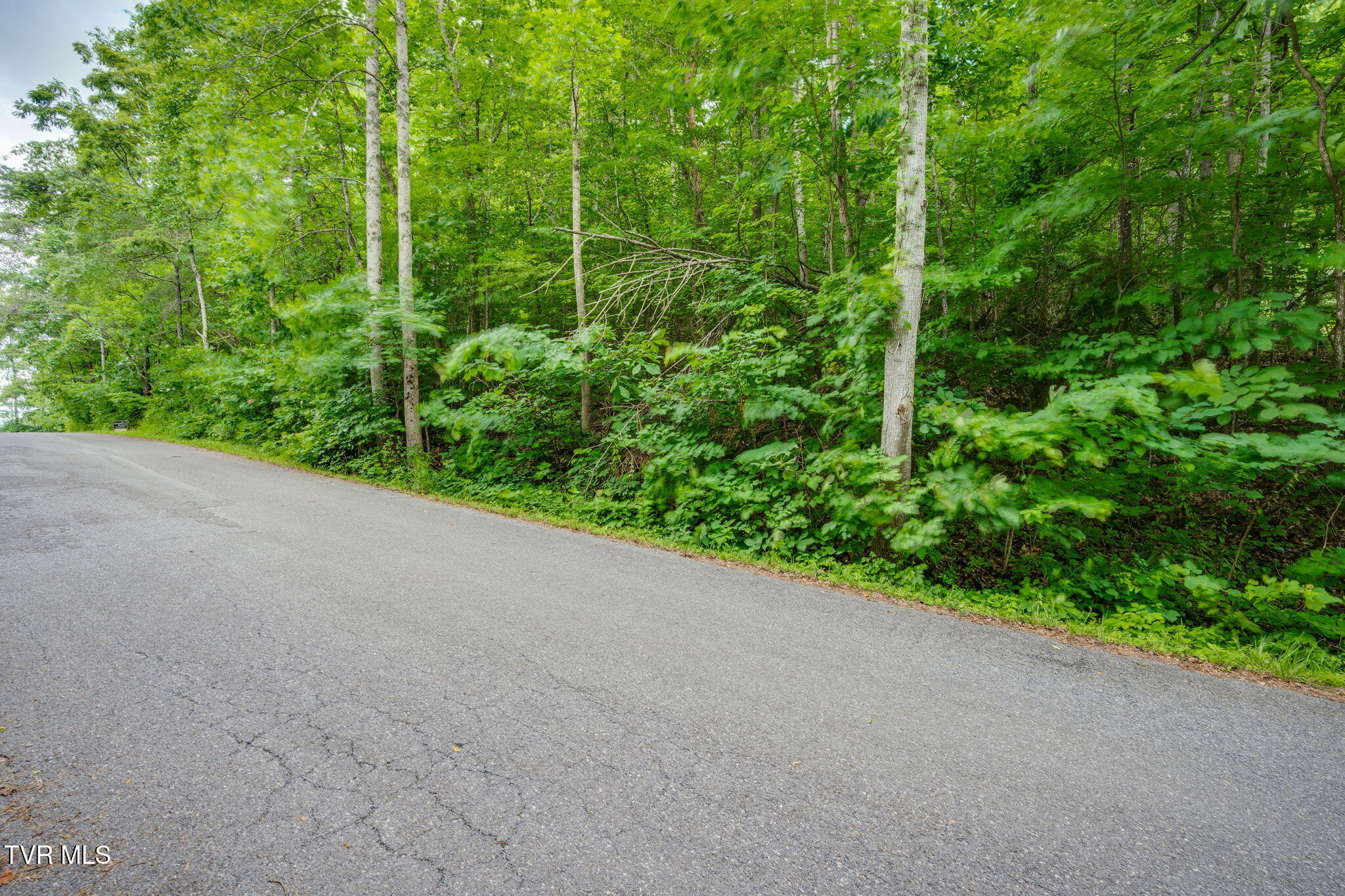 Lot 41 Ridgeheights Drive, Unit 41 Johnson City, TN 37615 - Photo 4 of 16 003