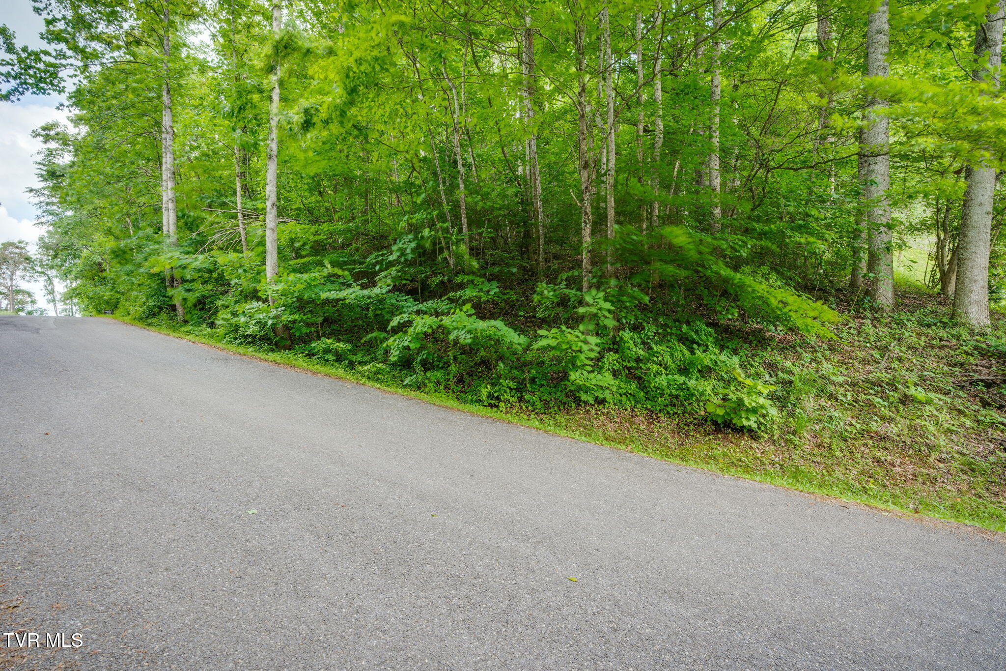 Lot 41 Ridgeheights Drive, Unit 41 Johnson City, TN 37615 - Photo 5 of 16 004