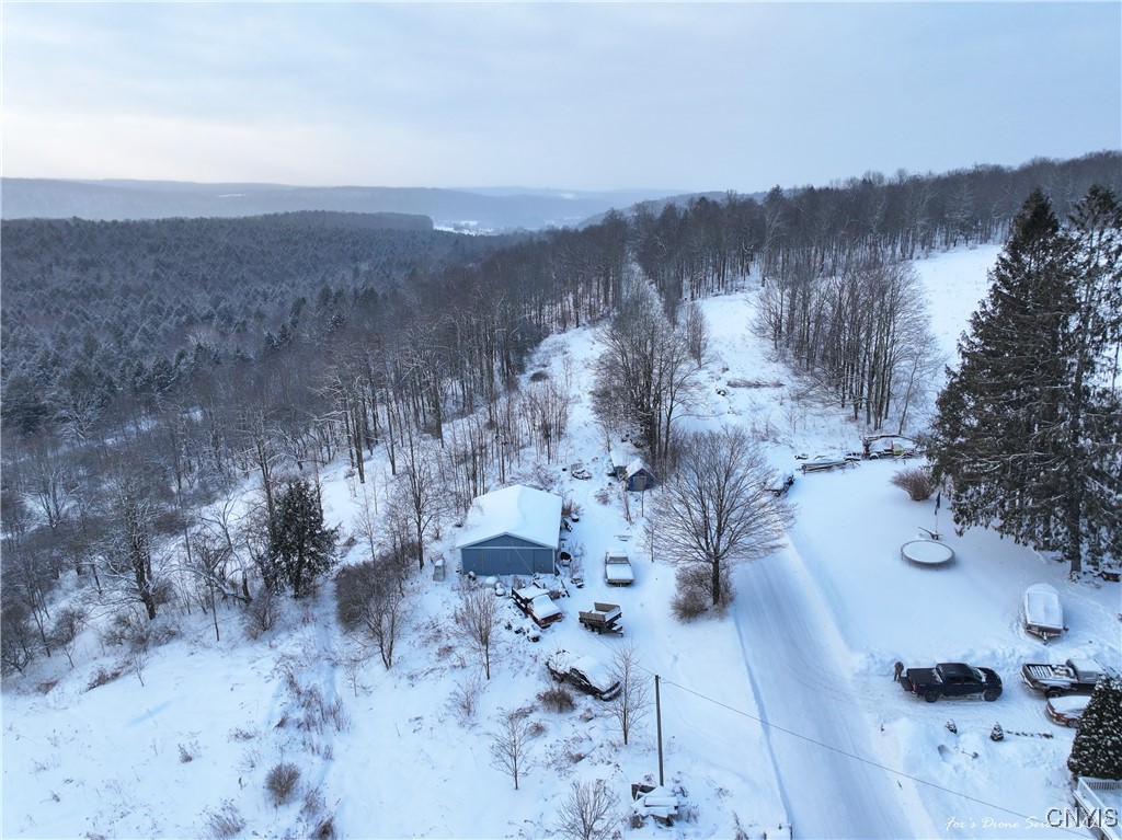 441 Neal Road Lincklaen, NY 13124 - Photo 37 of 49