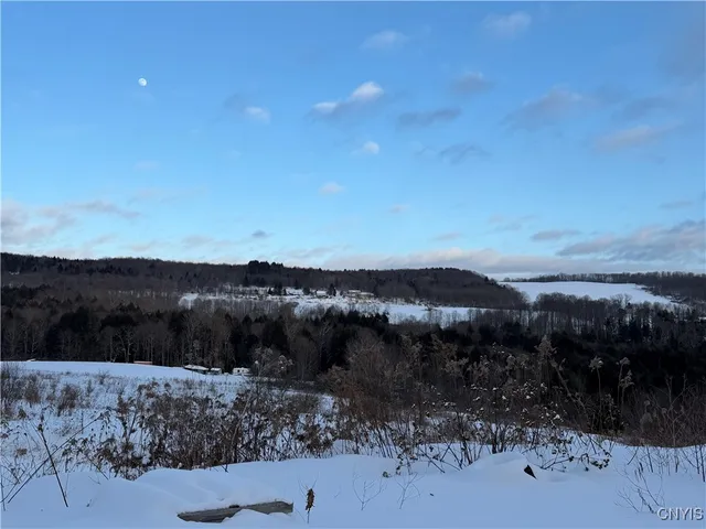 $450,000 | 441 Neal Road, Lincklaen, NY 13124