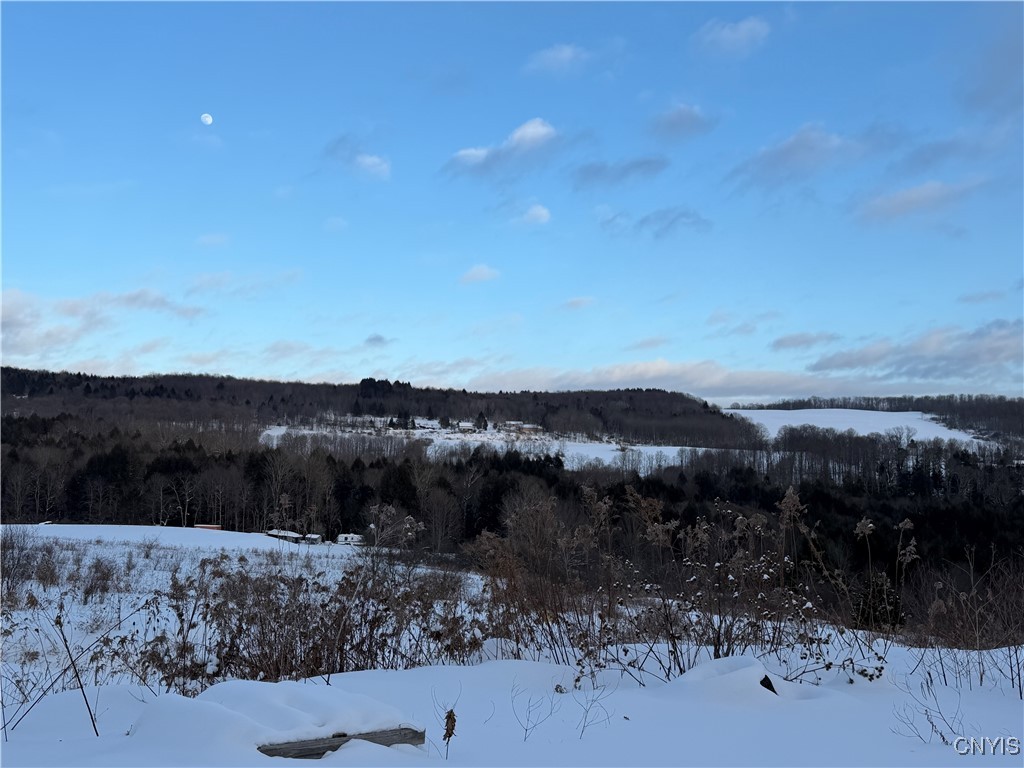 441 Neal Road Lincklaen, NY 13124 - Photo 40 of 49 one of many views