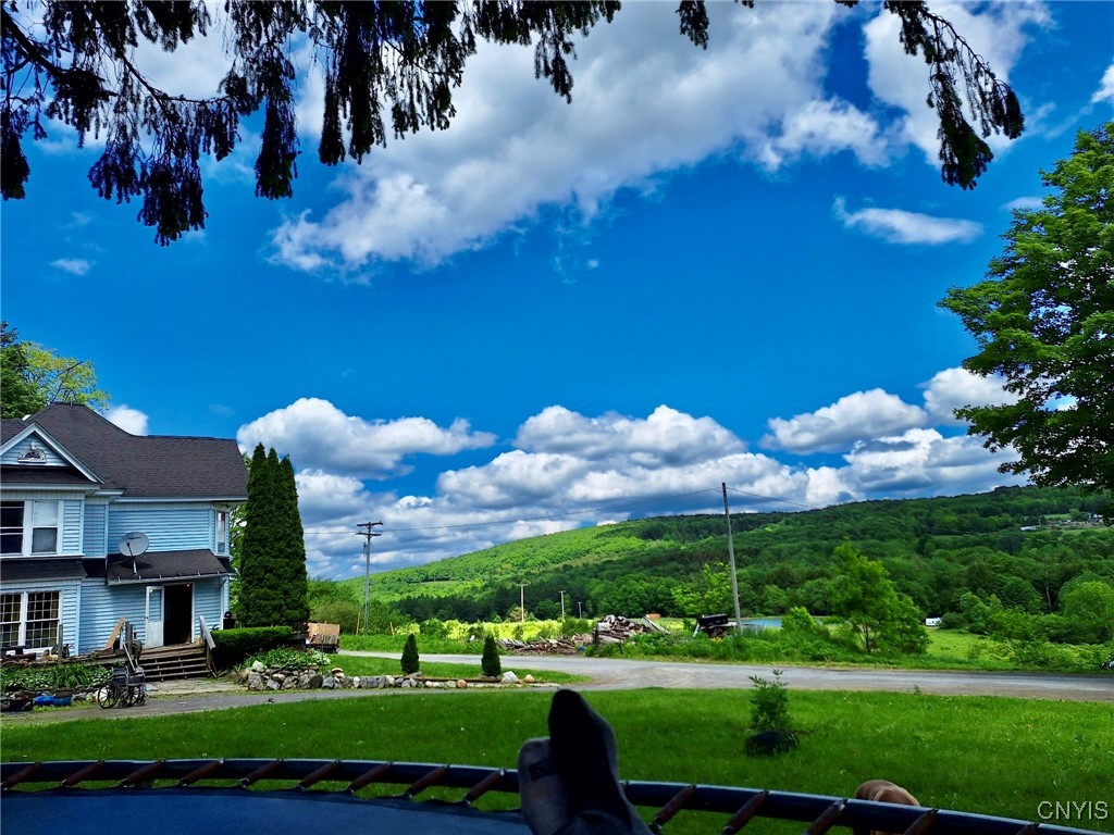 441 Neal Road Lincklaen, NY 13124 - Photo 46 of 49 summer view