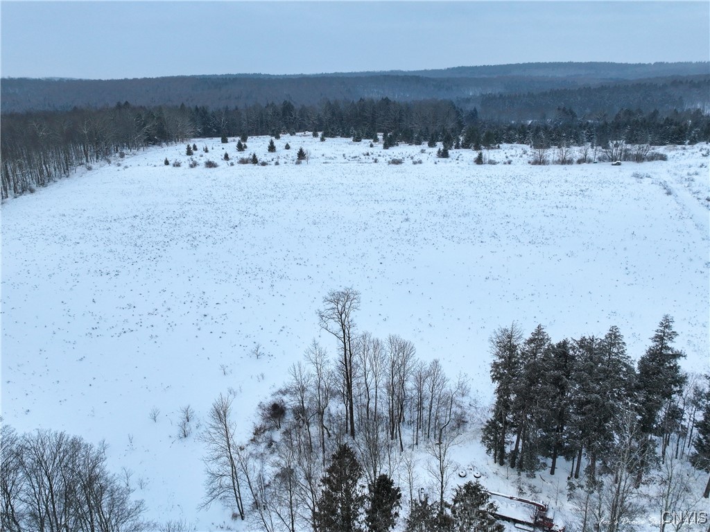 441 Neal Road Lincklaen, NY 13124 - Photo 48 of 49