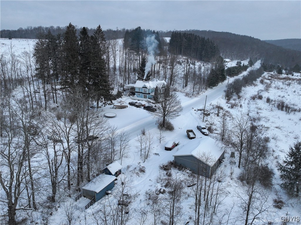 441 Neal Road Lincklaen, NY 13124 - Photo 6 of 49