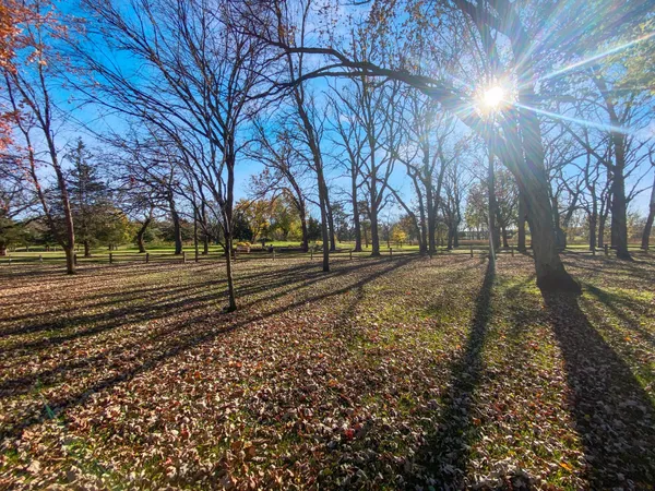 $255,000 | 150 Jerry Liefert Drive, Monticello, MN 55362