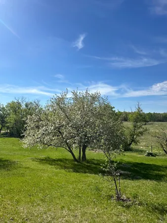 $389,000 | 16166 510 Avenue, Menahga, MN 56464