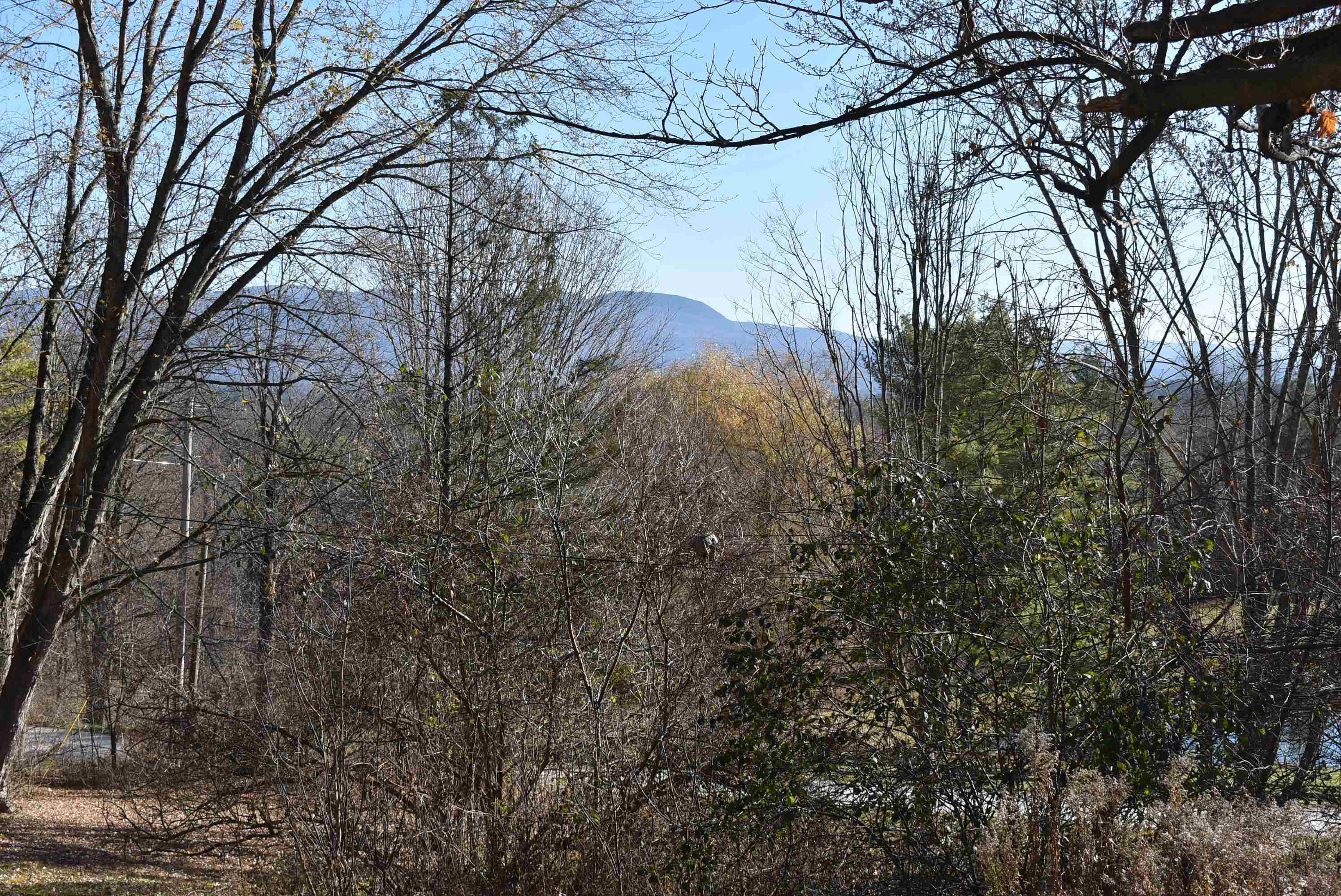 622 Willowbrook Road Sudbury, VT 05733 - Photo 8 of 16