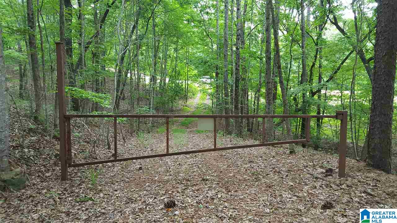 11-acres Deer Run Road, Unit 148330000001 010 Alabaster, AL 35007 - Photo 21 of 34
