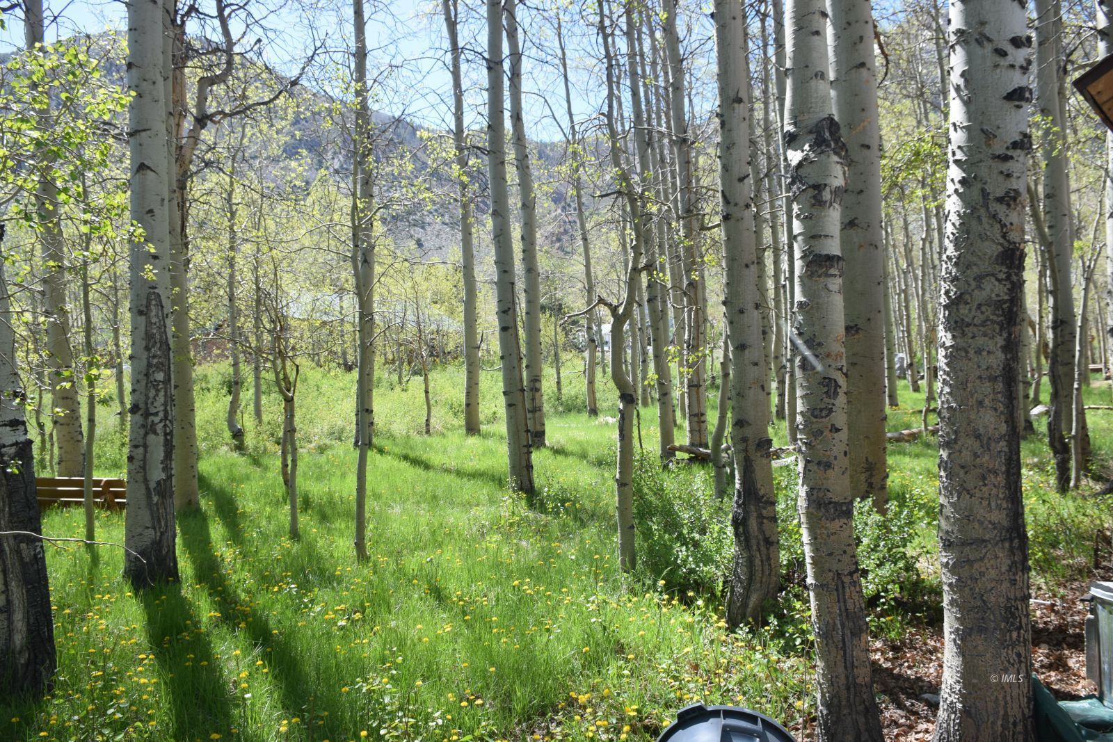 140 Iris Bishop, CA 93514 - Photo 17 of 19 a view of a garden