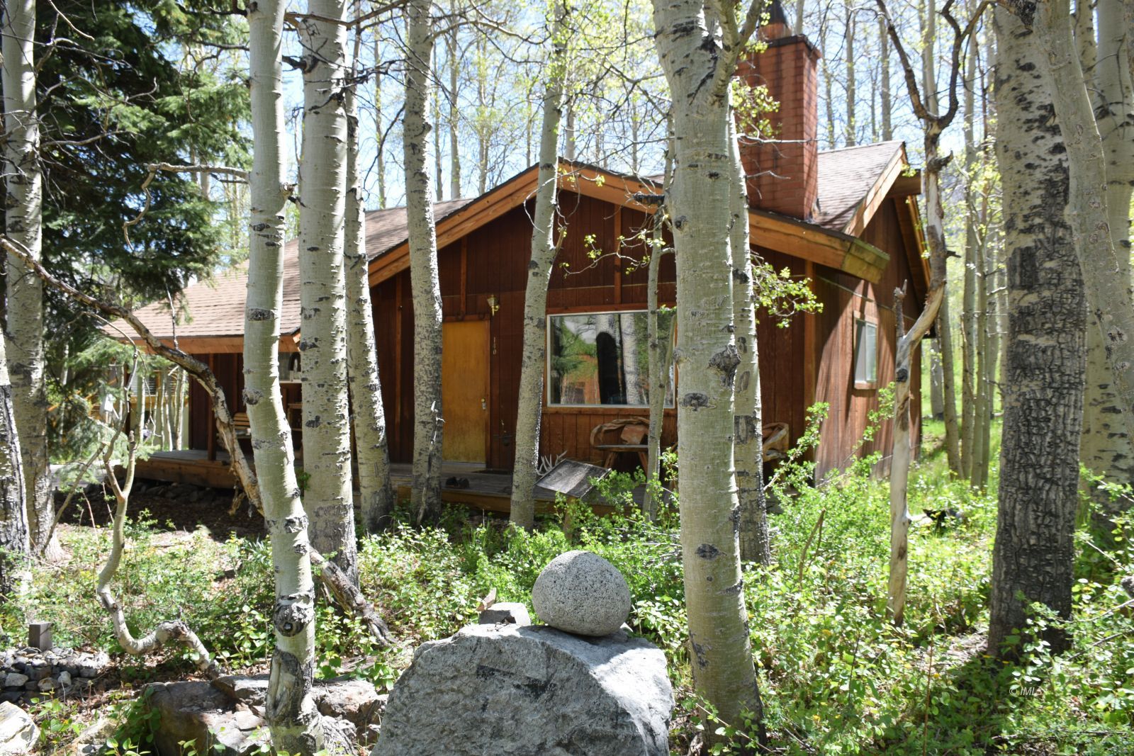 140 Iris Bishop, CA 93514 - Photo 18 of 19 a view of a house with a yard and plants
