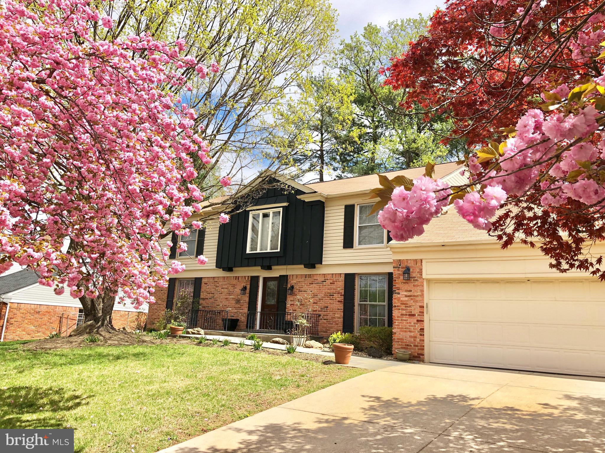 10813 Gainsborough Road Potomac, MD 20854 - Photo 1 of 41 Gallery Image 1