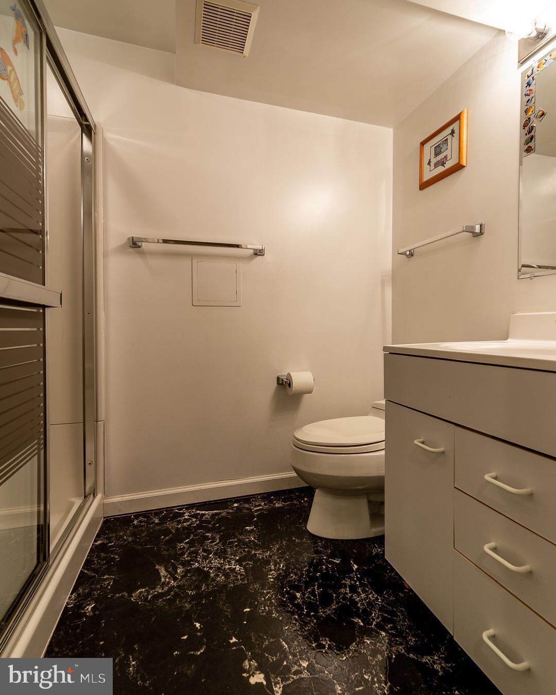 10813 Gainsborough Road Potomac, MD 20854 - Photo 38 of 41 LowerLevel Full Bath