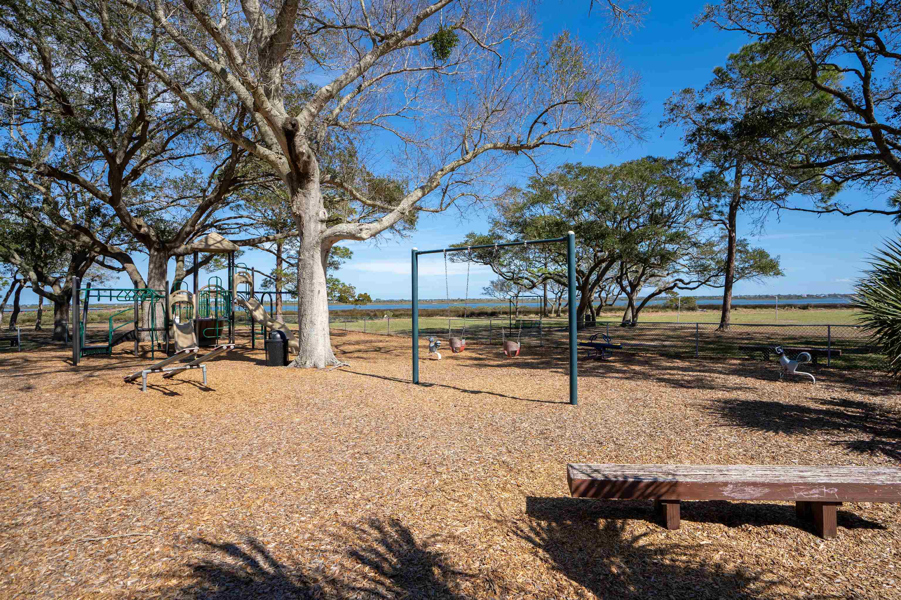 258 Costado Street St. Augustine, FL 32086 - Photo 34 of 39 a view of backyard with large trees