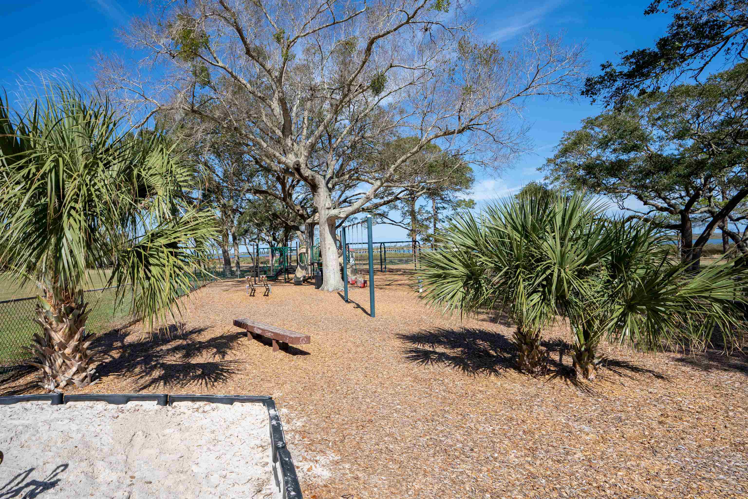 258 Costado Street St. Augustine, FL 32086 - Photo 35 of 39 a view of backyard of a house