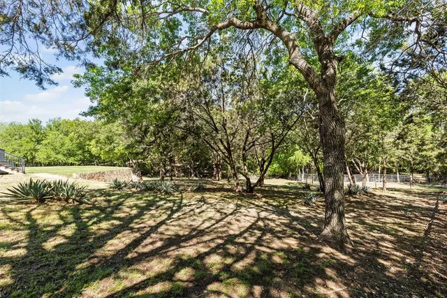 a view of a tree with a yard