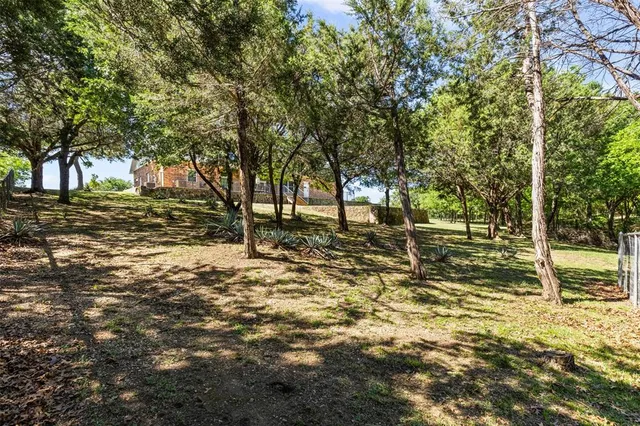 a view of yard with trees