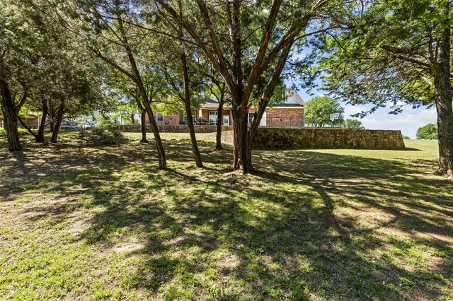 a view of a yard with a tree