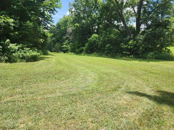 a view of a yard with a tree