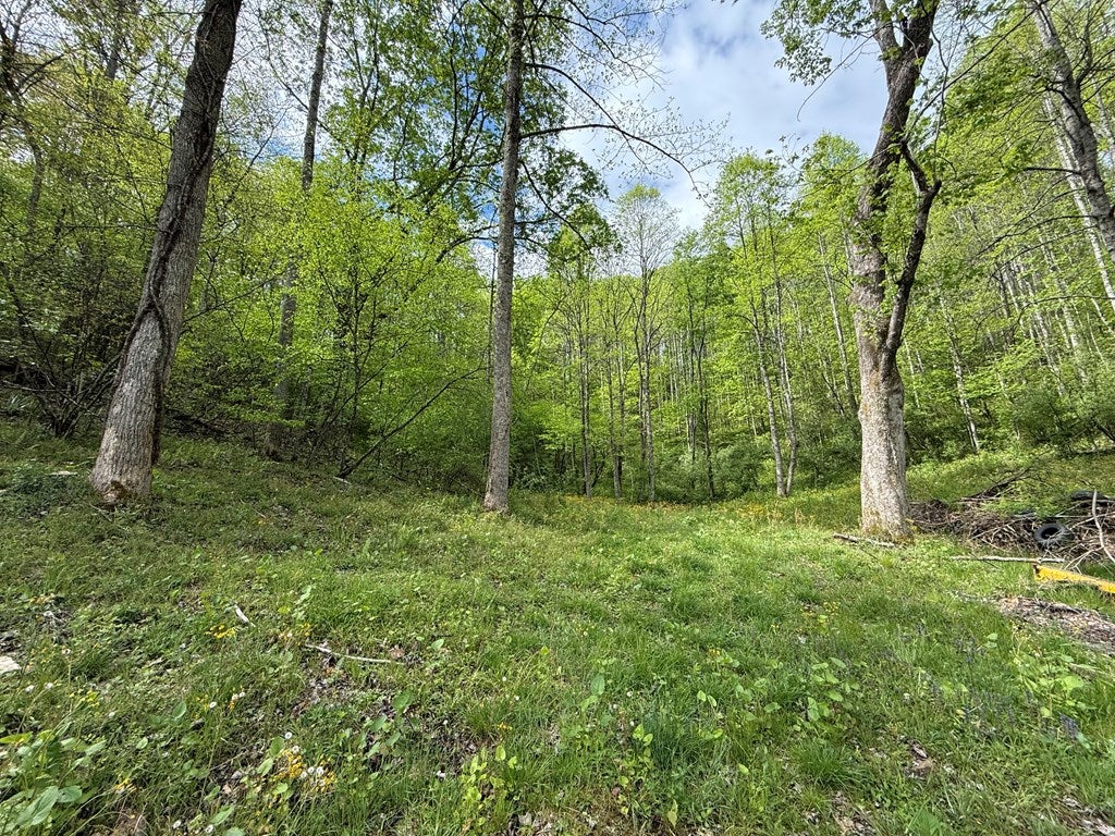 1454 Saxon Bolt Road Saxon, WV 25180 - Photo 26 of 26 Gallery Image 26
