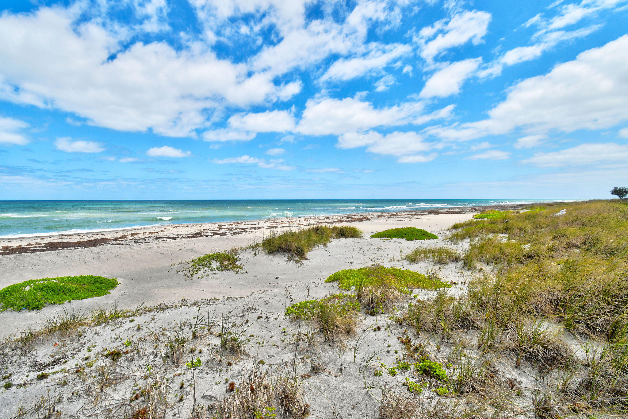114 North Beach Road Jupiter Island, FL 33455 - Photo 56 of 63 114NBeachRd(81)