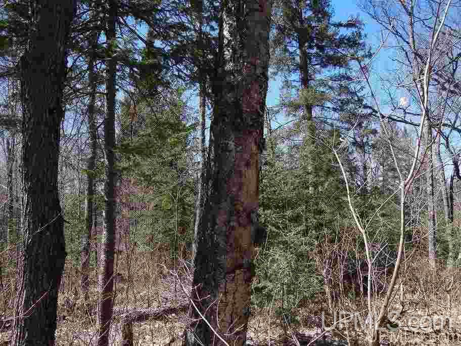 Tbd Celotex Road Michigamme, MI 49946 - Photo 13 of 25
