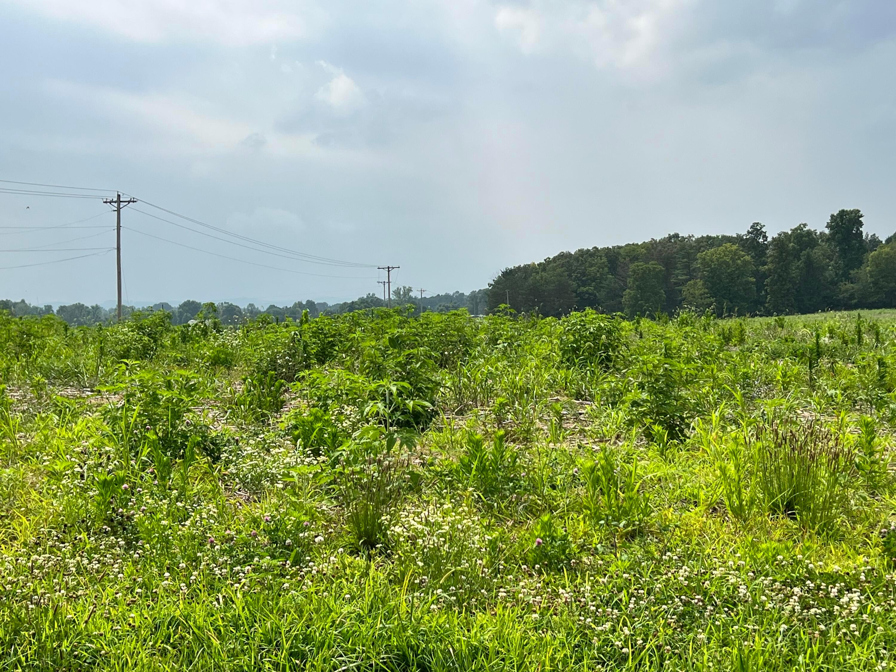 O Fisher Road Northwest, Unit LOT 3 Baltimore, OH 43105 - Photo 3 of 3 Lot 3