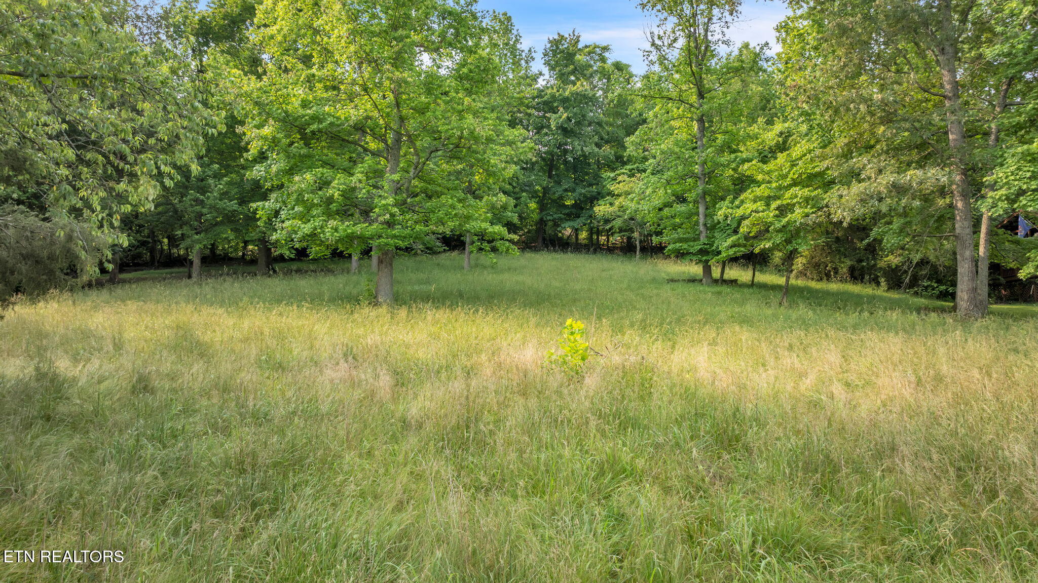 570 Anglers Cove Road Kingston, TN 37763 - Photo 4 of 5 32-web-or-mls-Anglers Cove-82