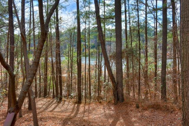 111 Quaker Ridge Road Aiken, SC 29803 - Photo 40 of 47 Gallery Image 40