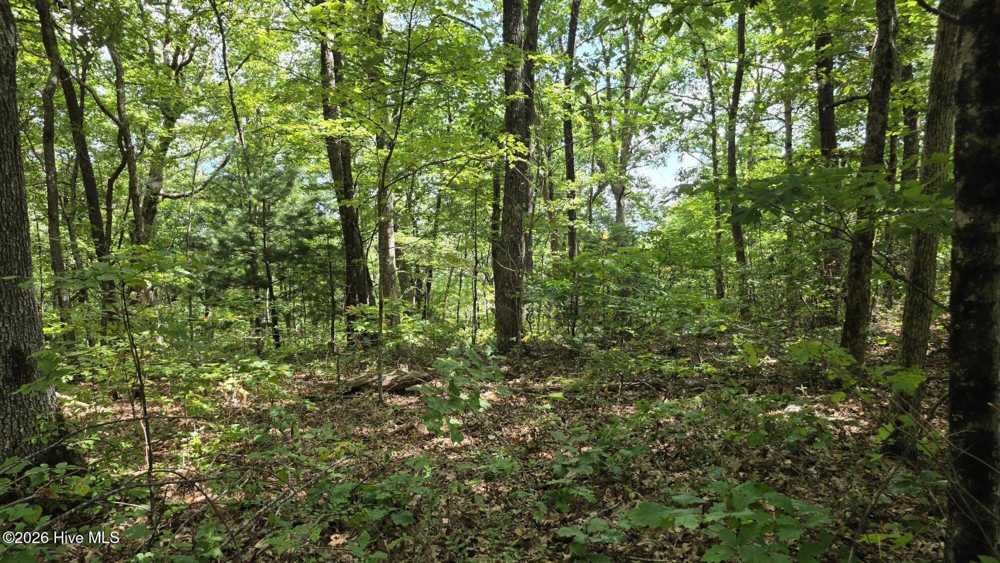 Lot 17 Outlook Road Murphy, NC 28906 - Photo 2 of 2 2026-09-11 13.23.10