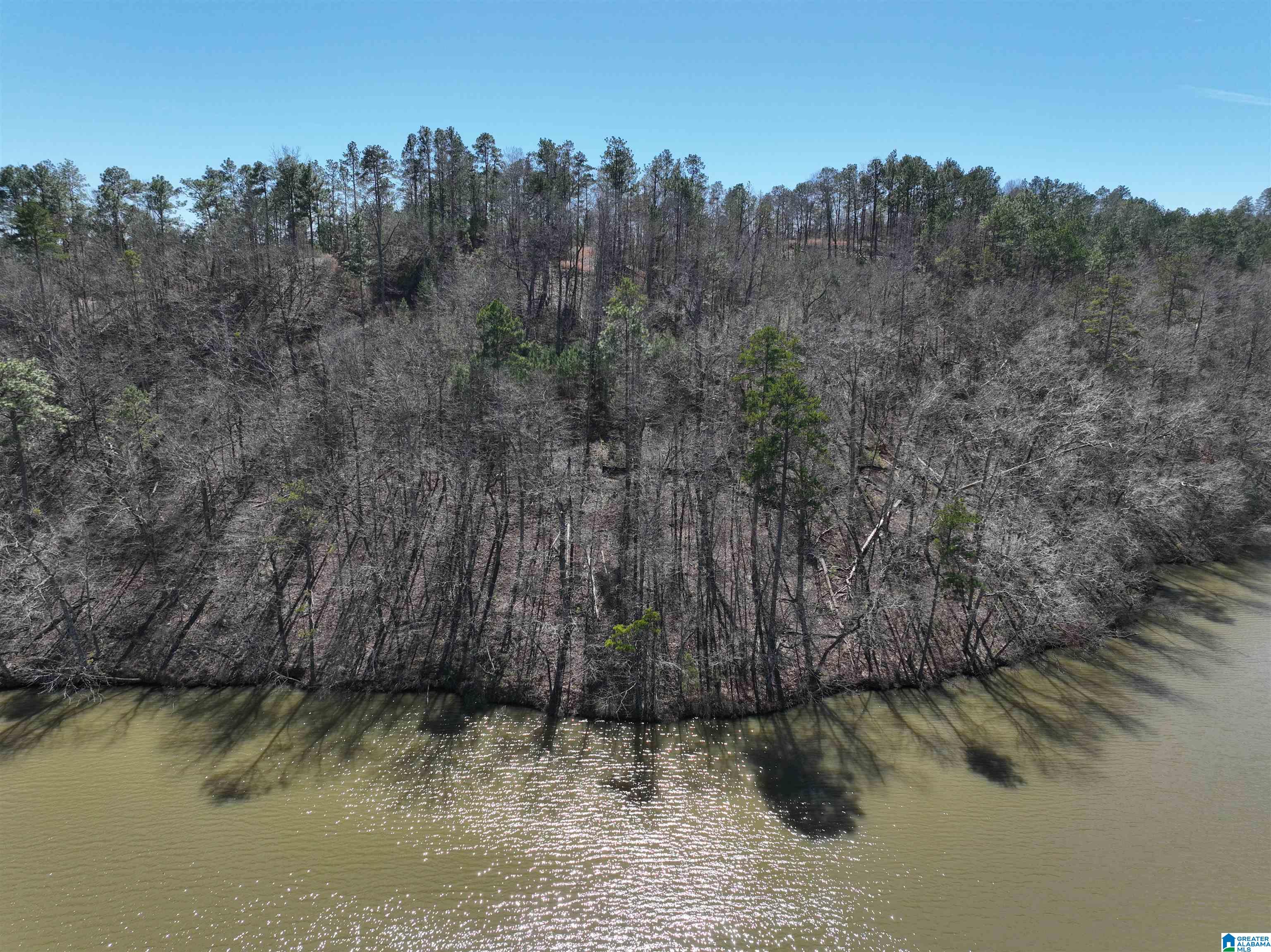 0 Preserve Road, Unit LOT 1 Rockford, AL 35136 - Photo 6 of 7