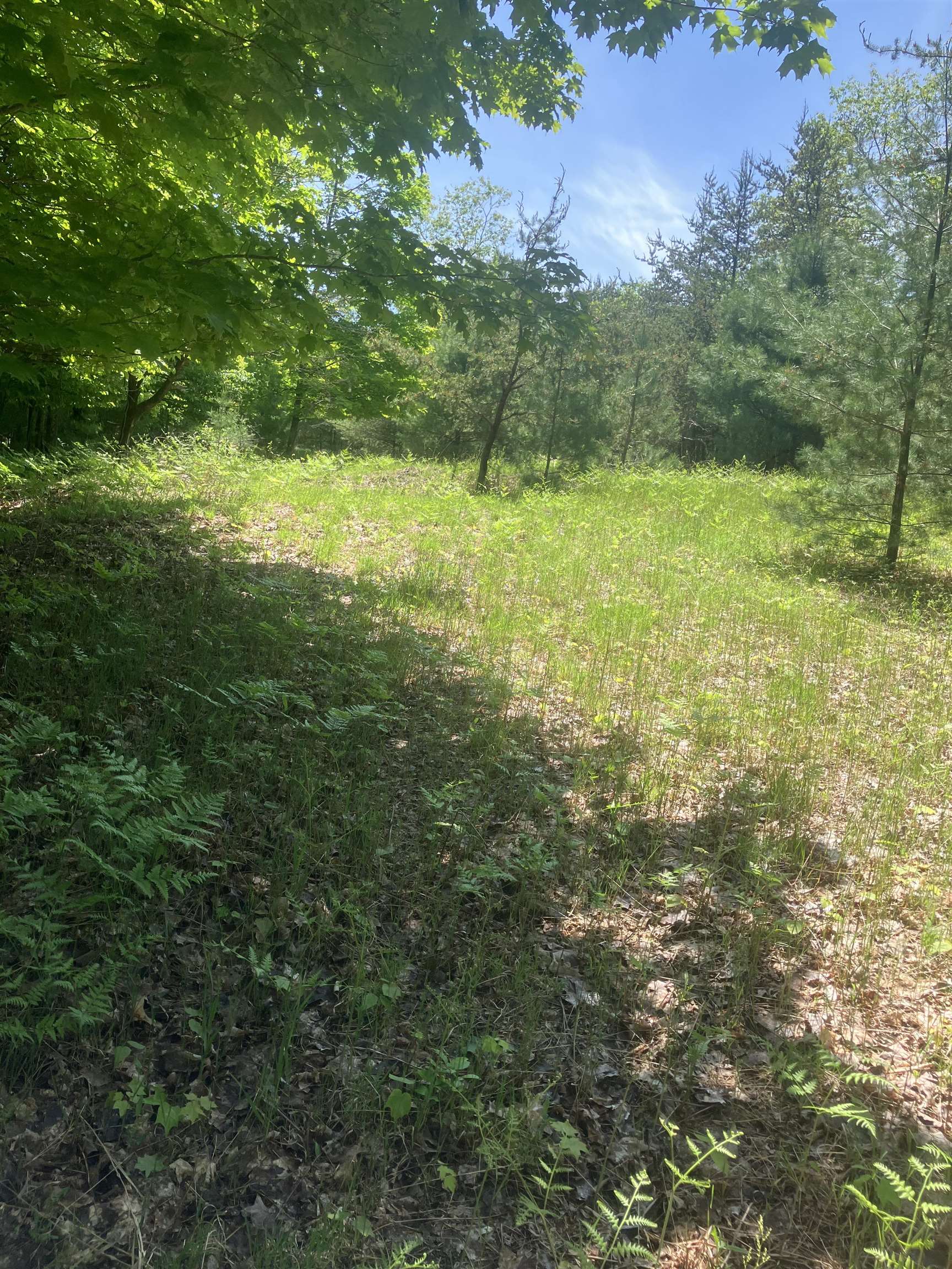 Tbd Dorman Road Northeast Kalkaska, MI 49646 - Photo 10 of 14