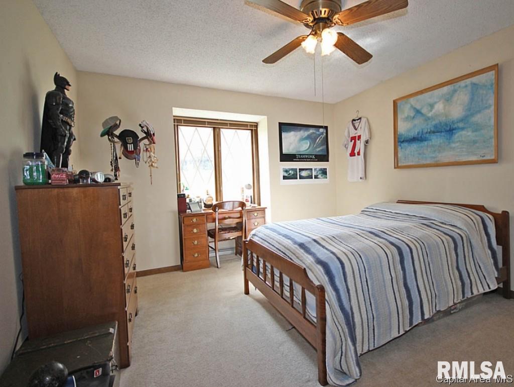 10 Boulder Point Drive Springfield, IL 62711 - Photo 16 of 30