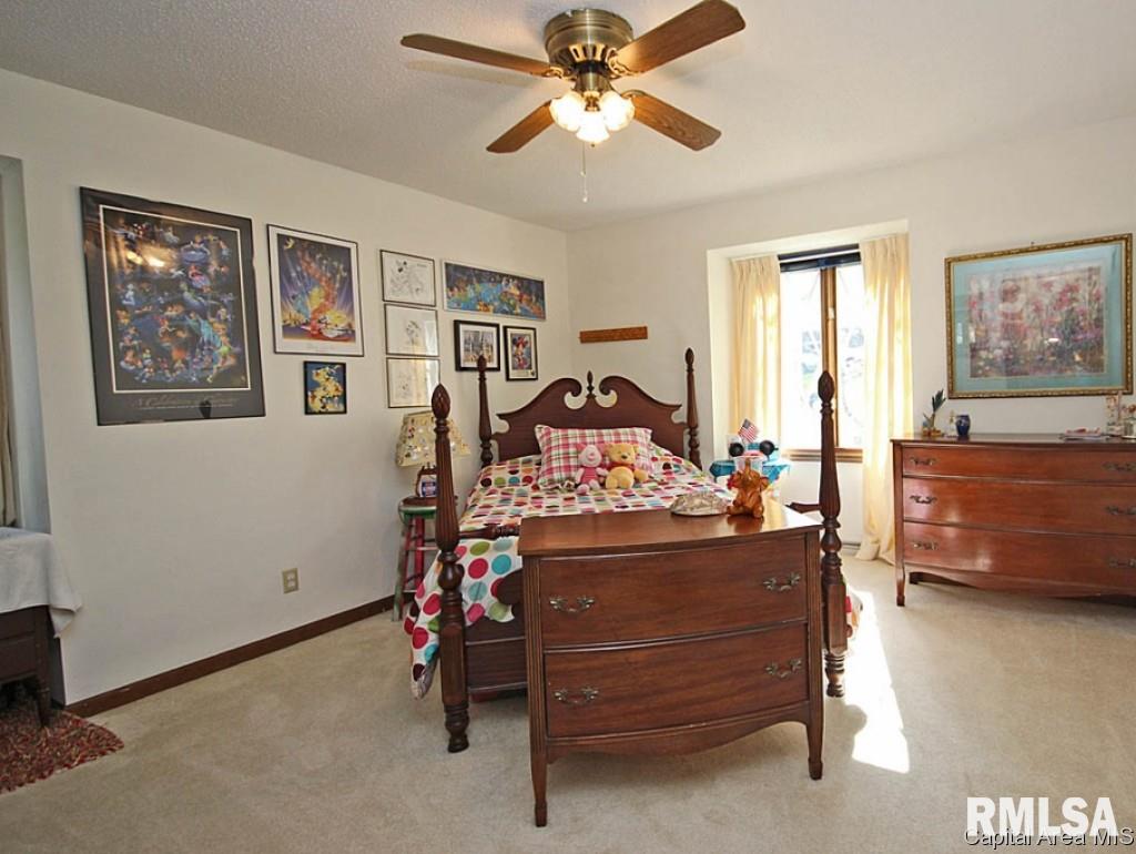 10 Boulder Point Drive Springfield, IL 62711 - Photo 18 of 30