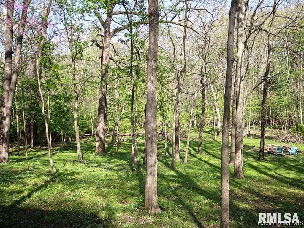10 Boulder Point Drive Springfield, IL 62711 - Photo 24 of 30