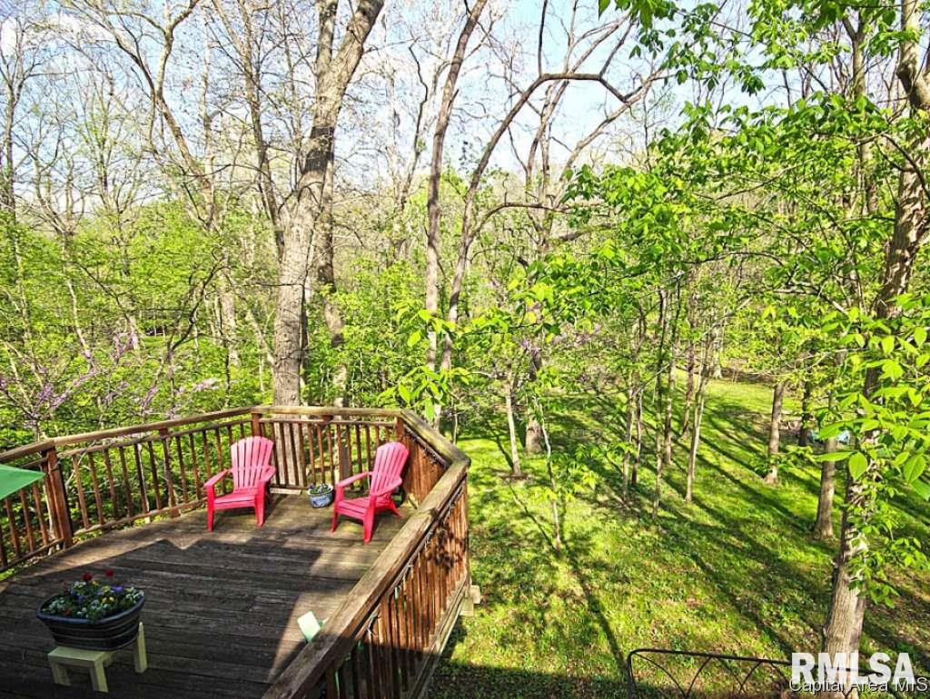 10 Boulder Point Drive Springfield, IL 62711 - Photo 25 of 30