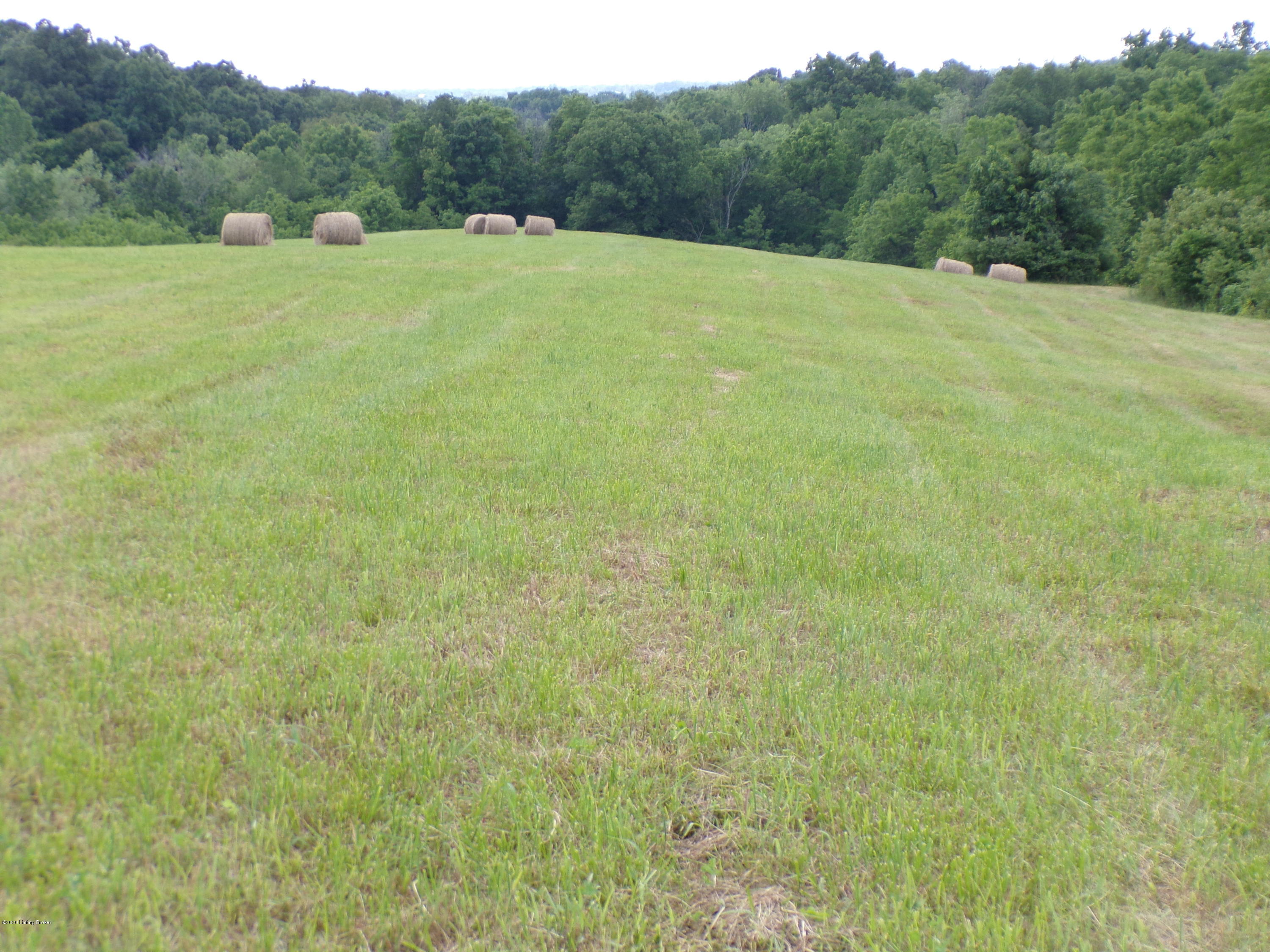 7945 Lawrenceburg Road Chaplin, KY 40012 - Photo 43 of 45 100_0114