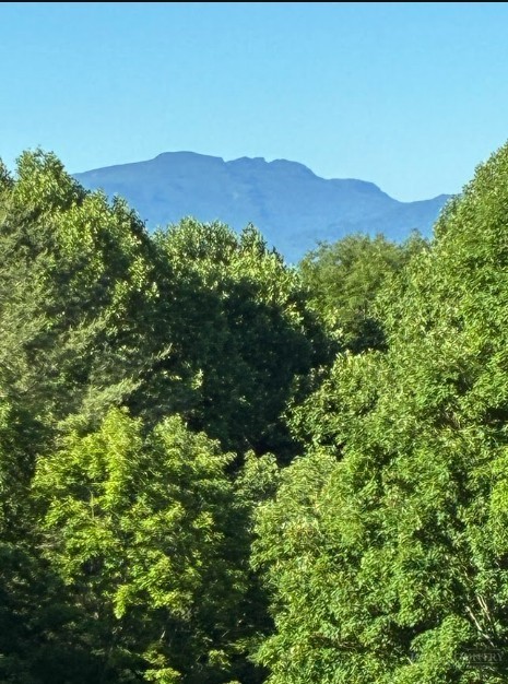 905 Harley Perry Road Zionville, NC 28698 - Photo 2 of 48